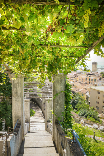 Downstairs with a view of the city  at the top of the canopy  covered with plants. The sun s rays are shining through.