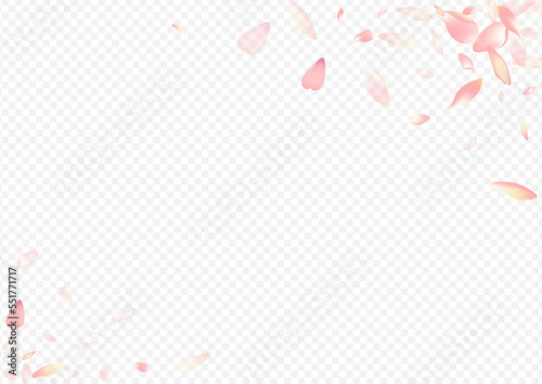 Pink Leaf Vector Transparent Background. Bloom