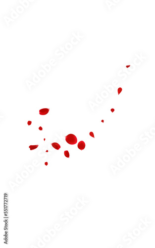 Delicate Cherry Beauty Vector White Background.