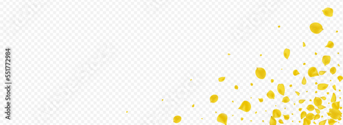 Lemon Cherry Flying Vector Panoramic Transparent