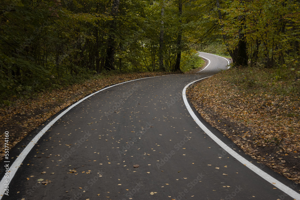 Fototapeta premium A asphalt path strewn with fallen leaves in the fall forest