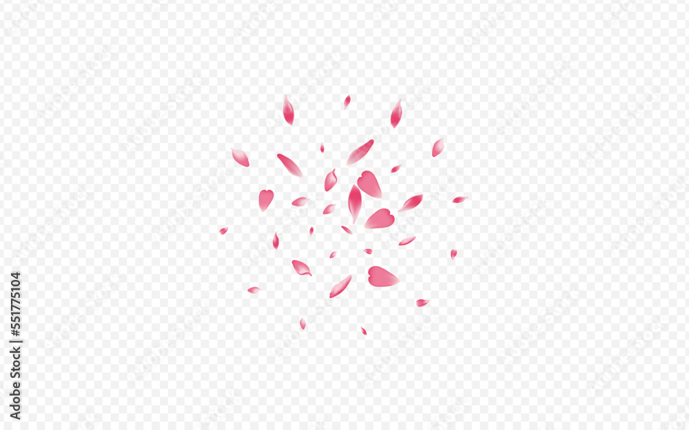Pink Peach Vector Transparent Background. Pink Peach Vector Transparent Background.