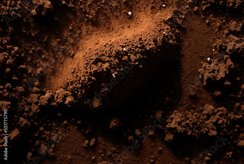 a high angle image of a backdrop of brown soil. Generative AI