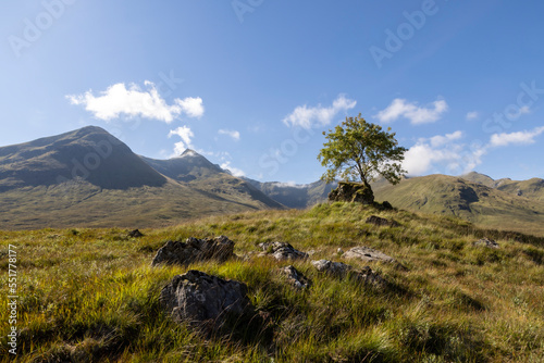 Obraz na płótnie Highland scenery in Inverness, Glenmoriston, Scotland w salonie