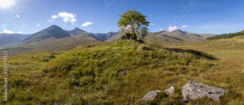 Obraz na płótnie Highland scenery in Inverness, Glenmoriston, Scotland w salonie
