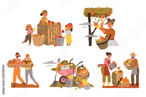 People Harvesting Gathering Ripe Agricultural Crops from Garden Vector Set