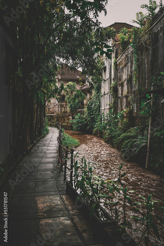Bali landscape nature culture