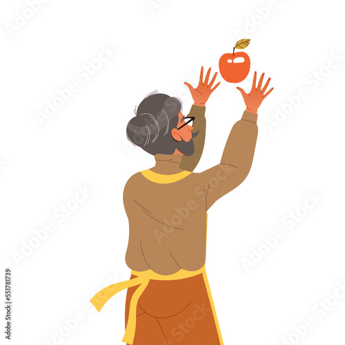 Senior Man Harvesting Gathering Ripe Apple Fruit from Tree in the Garden Vector Illustration