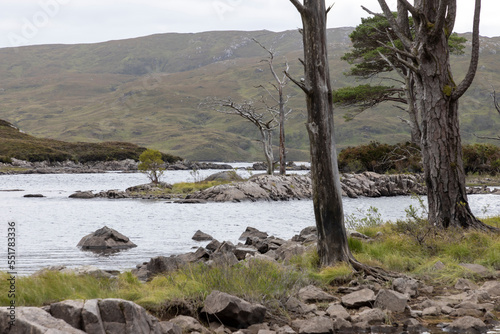 Obraz na płótnie Loch Assynt is a freshwater loch in the Scottish Highlands near Lochinver and about twelve kilometers west of Loch Shin in County Sutherland w salonie