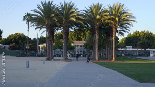 Palm Trees located at the entrance of the Los Angeles County Museum of Art (LACMA) during the sunset on a sunny summer day in Los Angeles, California. photo