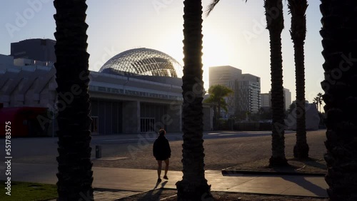 The camera dolly's in following a person through a row of tall and beautiful palm trees at the Los Angeles County Museum of Art (LACMA) during sunset on a sunny California day. photo