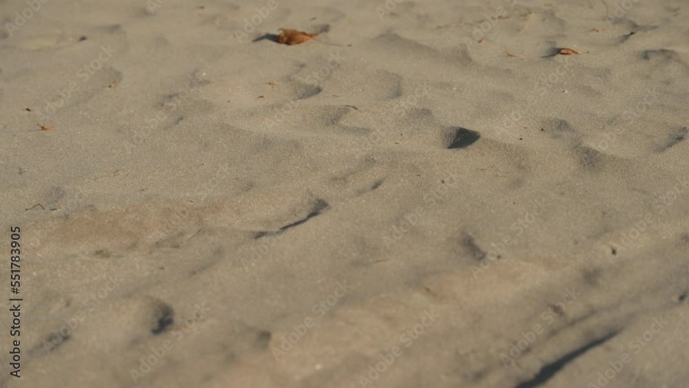 Sand ripples in the beach. Sand ripples in the beach.