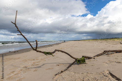 Nairn Beach in the Highland Council Area of Scotland. It is on the south bank of the Moray Firth