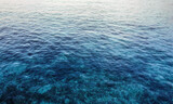transparent water and coral reef in tropical indonesia island