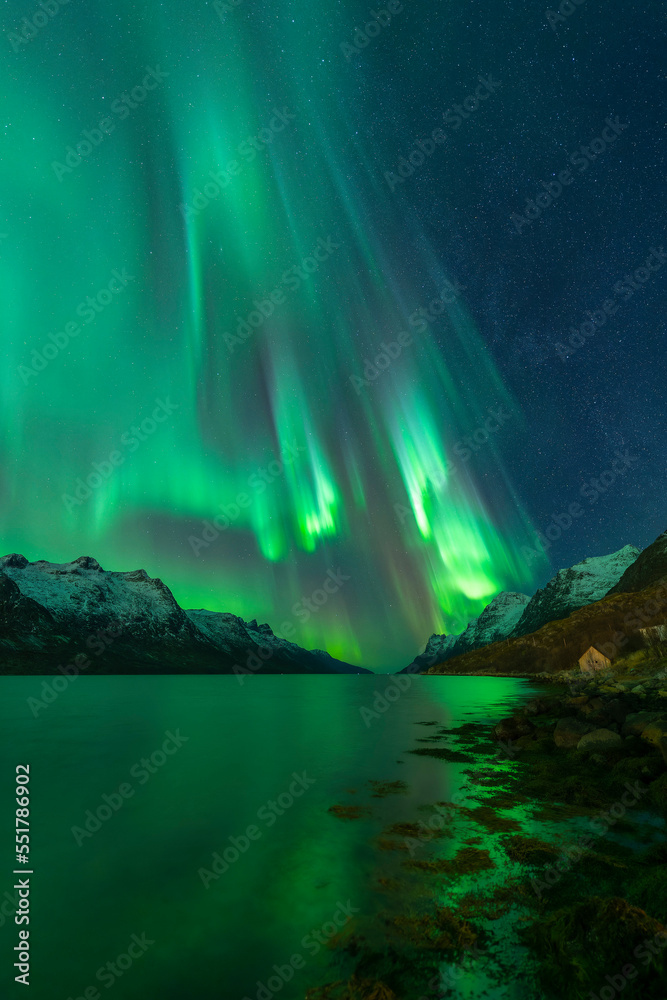 Aurora reflected in the fjord, Kvaloya, Tromso, Norway