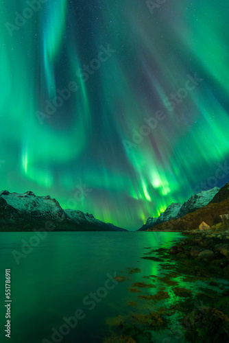 Big aurora display in Ersfjord, Tromso, arctic Norway