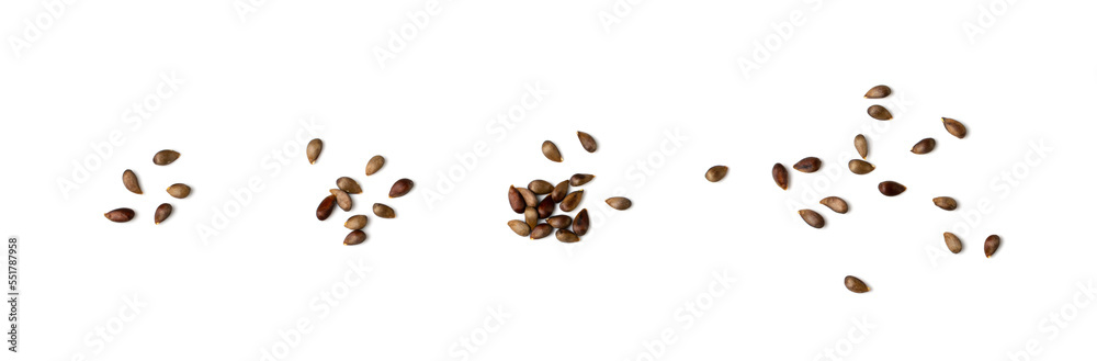 Apple Seed Isolated, Apples Seeds Group on White Background Apple Seed Isolated, Apples Seeds Group on White Background
