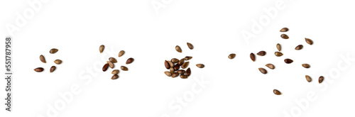 Apple Seed Isolated, Apples Seeds Group on White Background