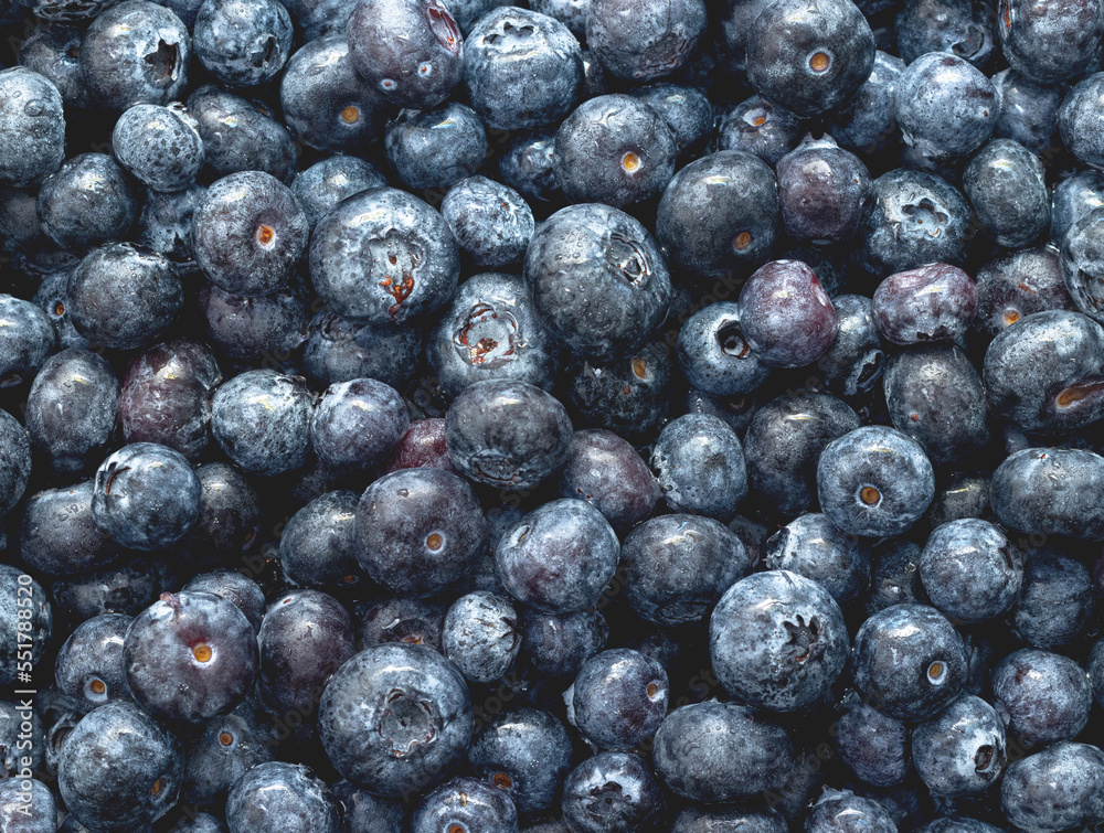 Fresh blueberries. Background from beautiful ripe berries. Fresh blueberries. Background from beautiful ripe berries.