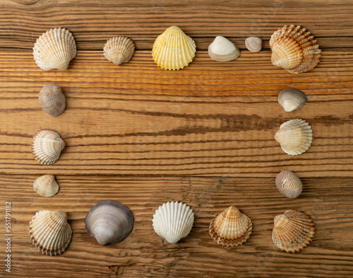 Sea Shell Frame, Multicolored Seashells Border, Clam Mollusc Shells Pattern, Natural Sea Shell Frame
