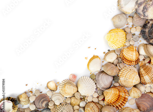 Sea Shell Frame, Multicolored Seashells Border, Clam Mollusc Shells Pattern, Natural Sea Shell Frame