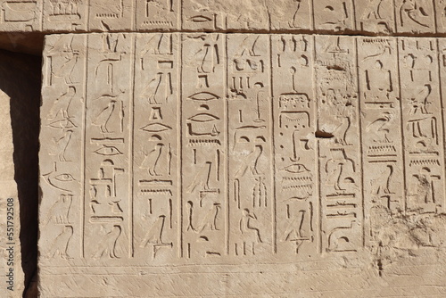 Pharaonic hieroglyphs carved on stone at Karnak temple in Luxor 