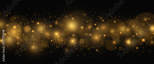 Golden shiny light effect. Sparkling magical dust particles. The dust sparks and golden stars shine with special light on transparent background.