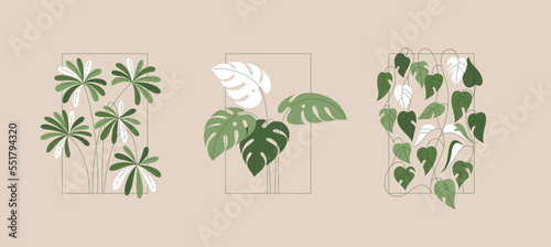Vector set of monstera leaves in flat style with frame and outline. Isolated green bush template for home interior design, coziness. Line art. Botanical illustration with plant branches