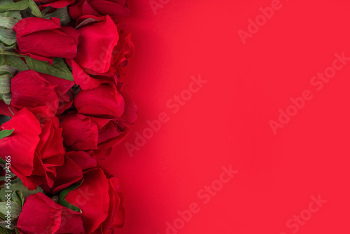 Red background with red roses