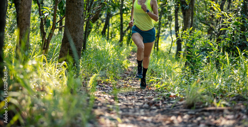 Photography Trail runner running in summer forest trail