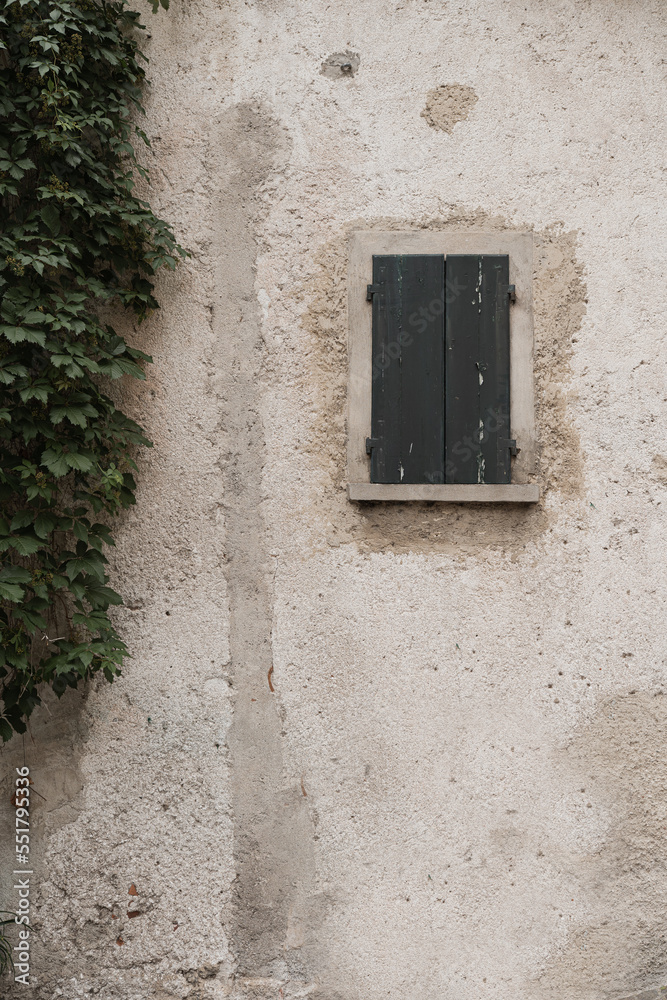 Rustic Italian architecture. Ancient building facade with bush, wooden window and neutral beige wall. Aesthetic summer vacation travel concept