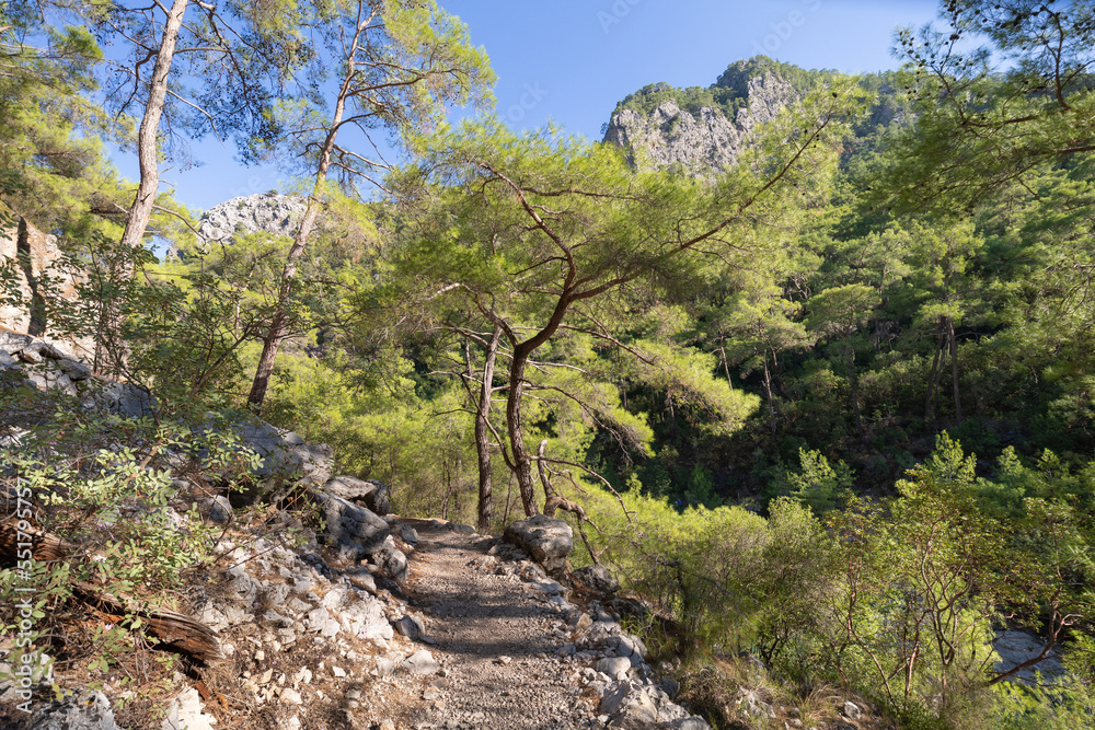 The Goynuk canyon in Turkey in the summertime The Goynuk canyon in Turkey in the summertime