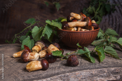 Pile of Imleria Badia or Boletus badius mushrooms commonly known as the bay bolete on vintage wooden background..