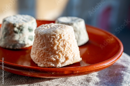 Small french goat cheeses, matured with grey mold from Macon, Burgundy, France