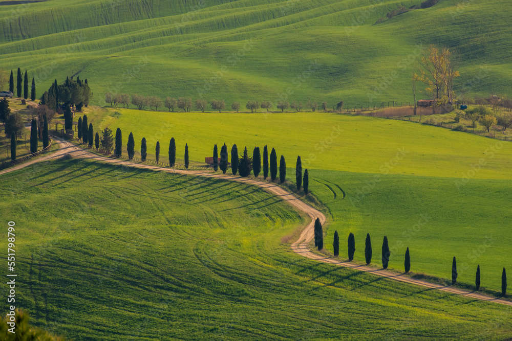 Beautiful country road with cypresses in Tuscany,  Italy