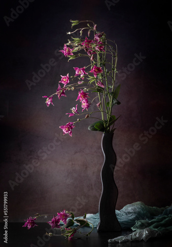 Print op canvas Still life with a bouquet of aquilegia in a black vase on a dark background