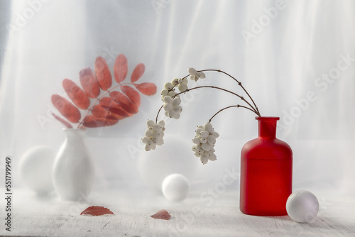 Autumn still life with a rowan branch and a snowberry on a light background