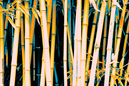 Arrière plan avec bambous et dégradé bleu et orange