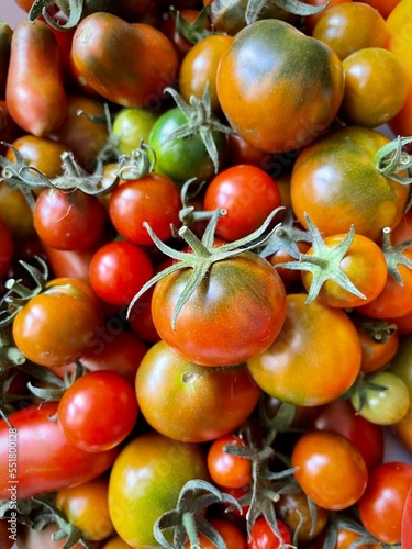 large vertical photo. small red tomatoes. autumn harvest. healthy farm vegetables. eco. bio.