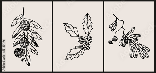 Set of three hand drawn still lifes with berries. Summer, fall harvest. Minimalistic abstract background with olive, holly, cranberry. Organic natural illustrations. Vintage abstract poster.
