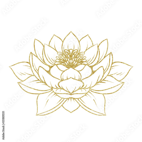Lotus flower with transparent golden color outline, perfect for your design background, border, invitation, card, template, logo, etc