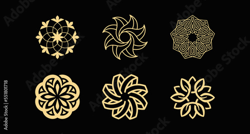Vector logo design template and emblem  with petals and lines - luxury beauty spa concept - green badge for yoga studios, holistic medicine centers, natural and organic food products and packaging