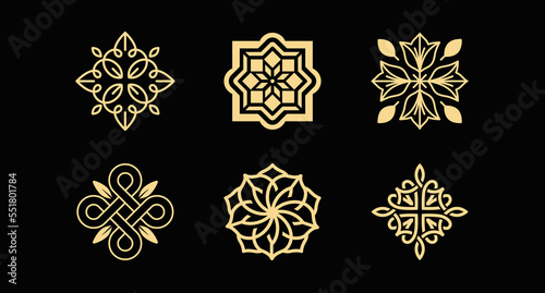 Vector logo design template and emblem  with petals and lines - luxury beauty spa concept - green badge for yoga studios, holistic medicine centers, natural and organic food products and packaging