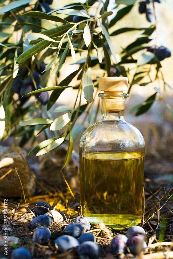 Olive oil with olive tree branch background. Natural oil for food or cosmetics from natural ingredients. Healthy food, cosmetics concept. Olive oil with olive tree branch background. Natural oil for food or cosmetics from natural ingredients. Healthy food, cosmetics concept.