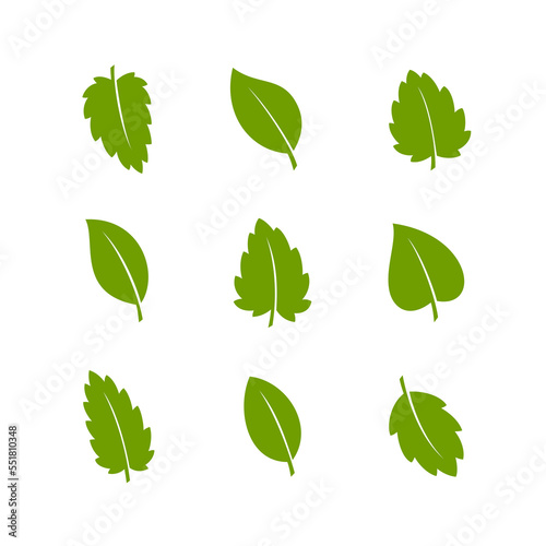 Set of green leaves. Flat style. Vector illustration. 