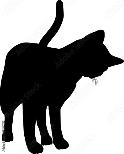 Silhouette Cat Pet Animal