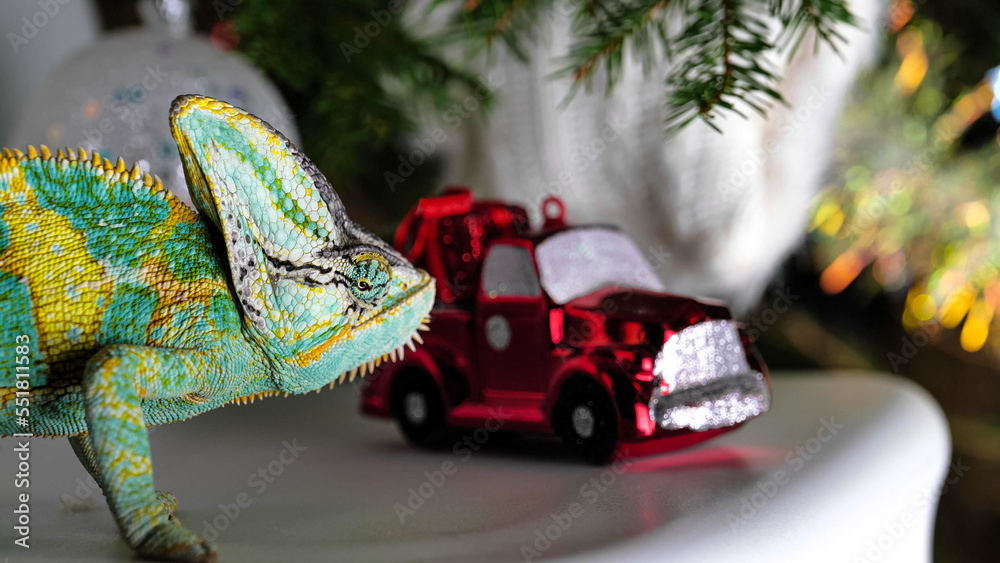 colorful funny chameleon in Christmas and New Year holiday party