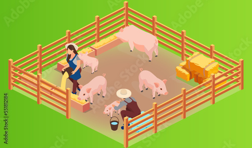 vector of a pig farm and farmenrs with pink growing piglets being fed