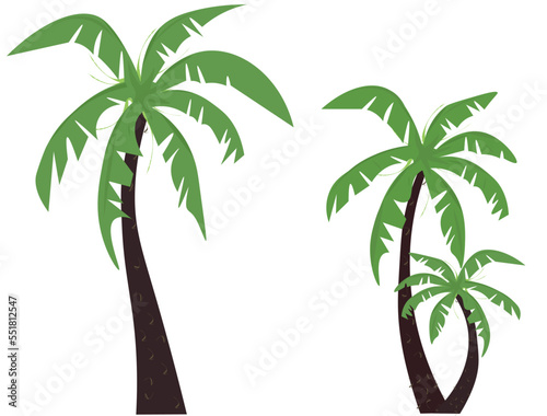 palm tree illustration. Set of palm trees. Vector silhouettes.