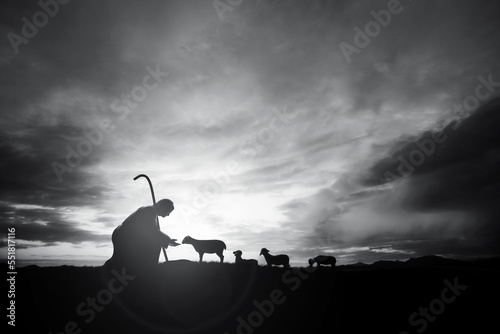 Shepherd Jesus Christ taking care of the lamb and a flock of sheep on the meadow with a brightly rising sunrise landscape
